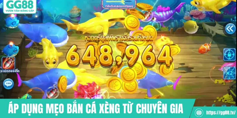 Áp dụng mẹo bắn cá xèng từ chuyên gia